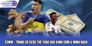 23win - Trang Cá Cược Thể Thao Vua Xanh Chín & Minh Bạch