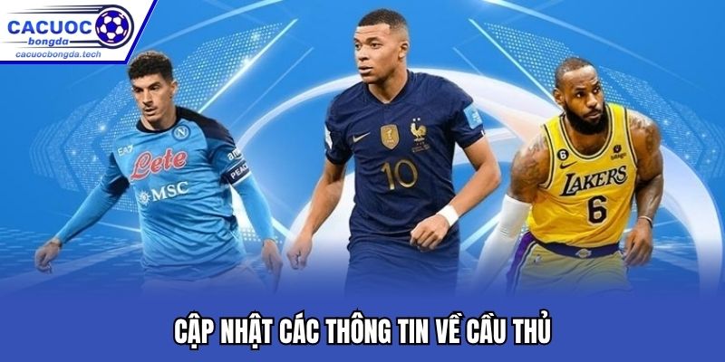 Cập nhật tin chuyển nhượng, đời tư của cầu thủ