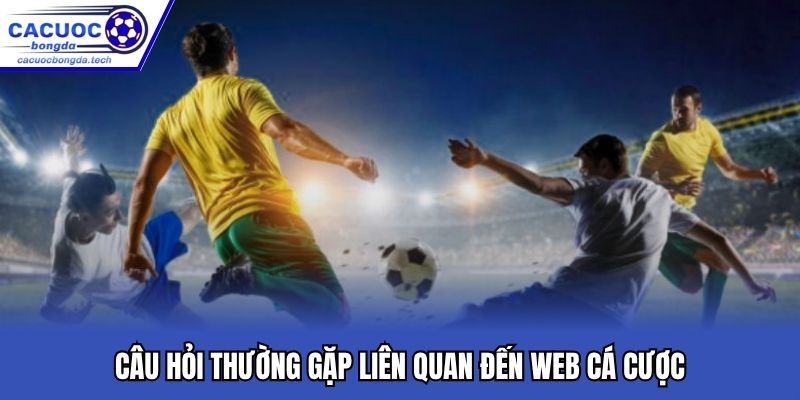 Câu hỏi thường gặp liên quan đến web cá cược