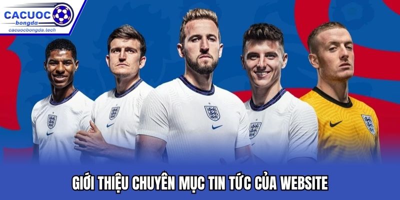 Chuyên mục tin tức chia sẻ mọi dữ liệu thể thao