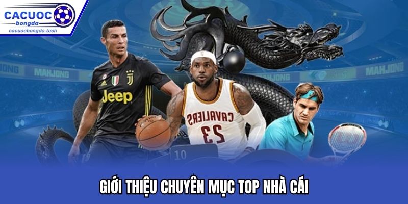 Chuyên mục top nhà cái giới thiệu những địa chỉ an toàn