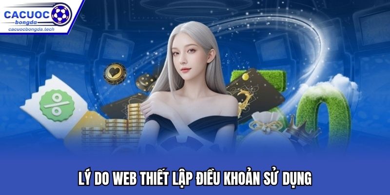 Điều khoản sử dụng xây dựng mối quan hệ cùng có lợi
