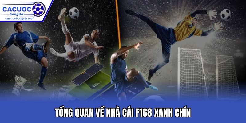 Tổng quan về nhà cái F168 xanh chín