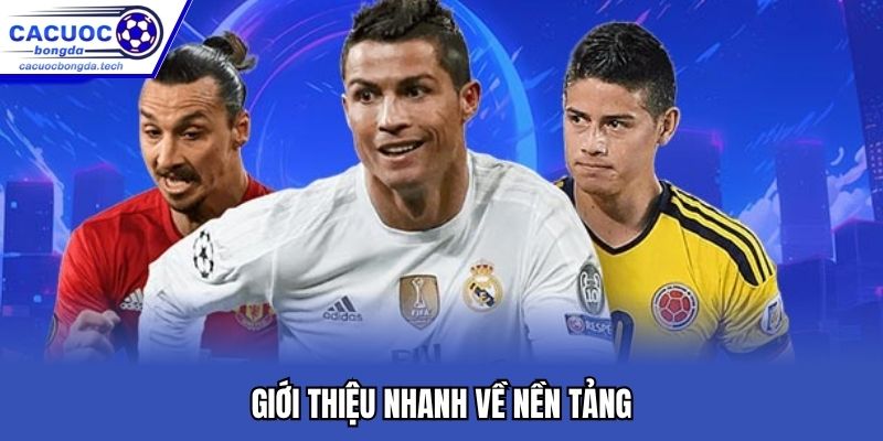 Giới thiệu nhanh về nền tảng