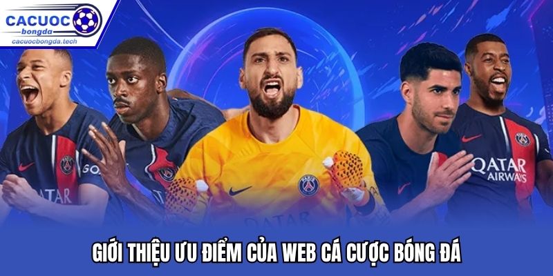 Giới thiệu ưu điểm của web cá cược bóng đá