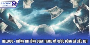 Hello88 - Thông Tin Tổng Quan Trang Cá Cược Bóng Đá Hot