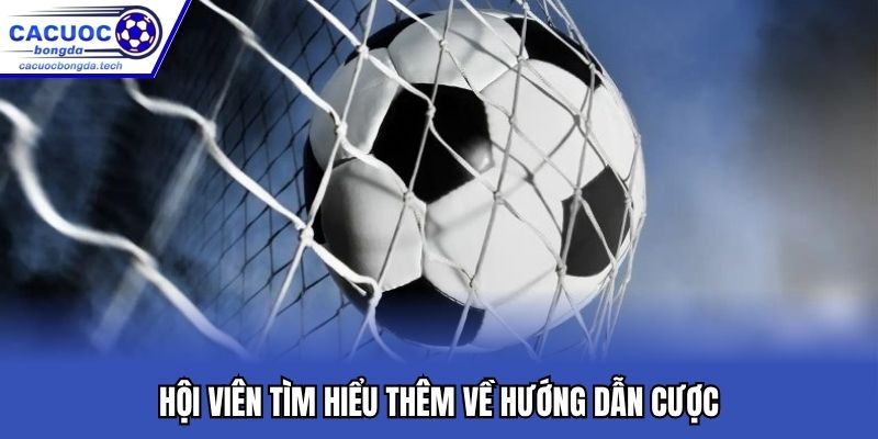 Hội viên tìm hiểu thêm về hướng dẫn cược