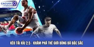Kèo Tài Xỉu 2.5 - Khám Phá Thế Giới Bóng Đá Đặc Sắc