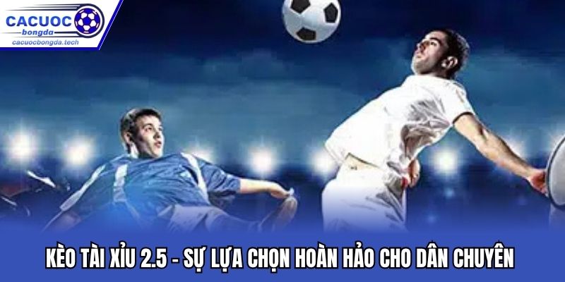 Kèo tài xỉu 2.5 - Sự lựa chọn hoàn hảo cho dân chuyên