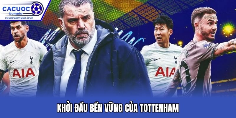 Khởi đầu bền vững của Tottenham