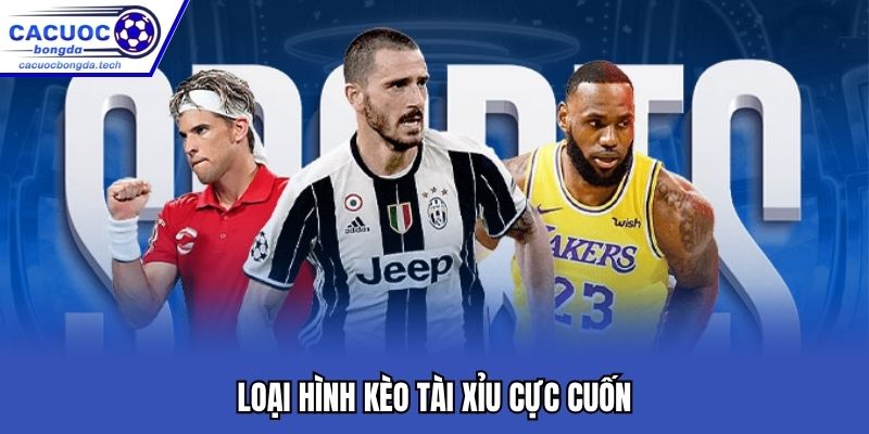 Loại hình kèo tài xỉu cực cuốn