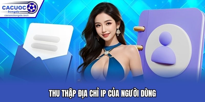 Thu thập địa chỉ IP và lưu trữ thông tin cookies