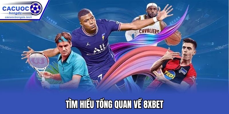 Tìm hiểu tổng quan về 8xbet