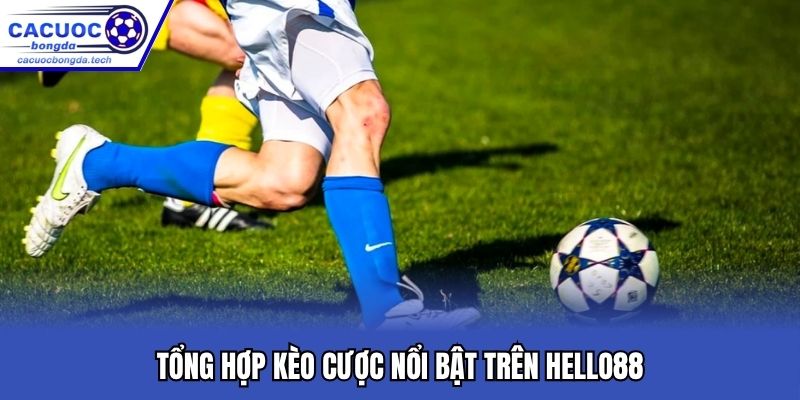 Tổng hợp kèo cược nổi bật trên Hello88