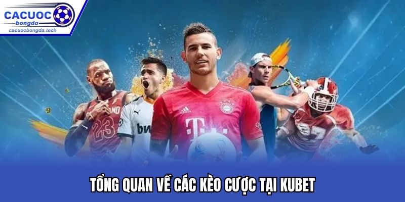 Tổng quan về các kèo cược tại Kubet