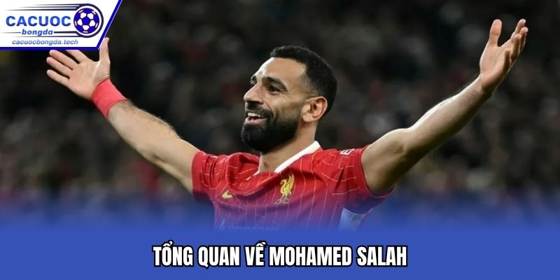 Tổng quan về Mohamed Salah