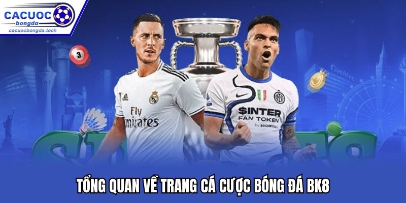 Tổng quan về trang cá cược bóng đá Bk8