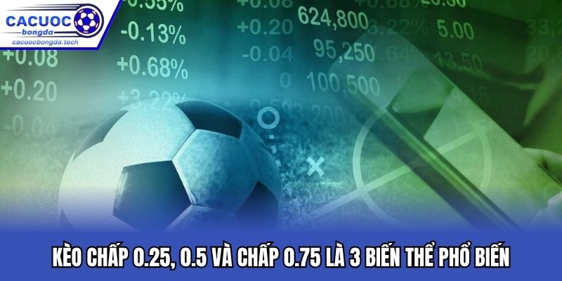 Kèo chấp 0.25, 0.5 và chấp 0.75 là 3 biến thể phổ biến